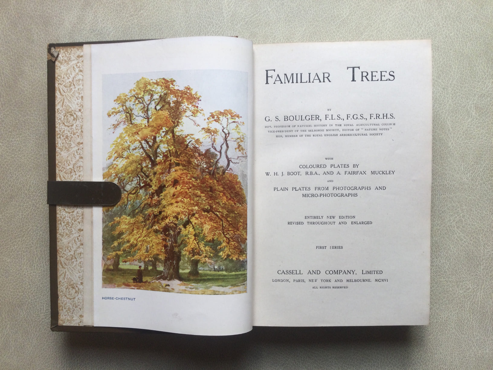 Familiar Trees By G. S. Boulger