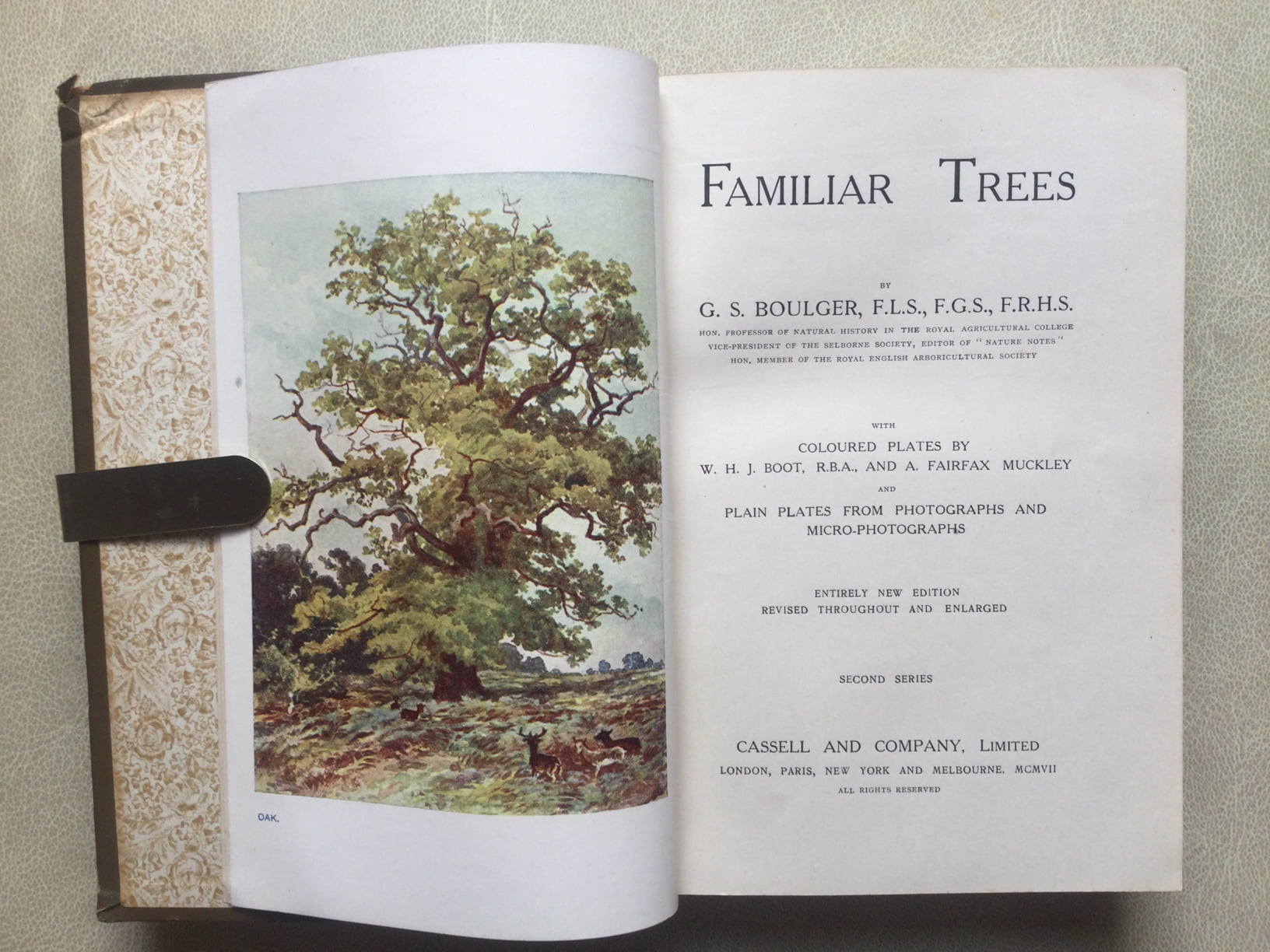 Familiar Trees By G. S. Boulger