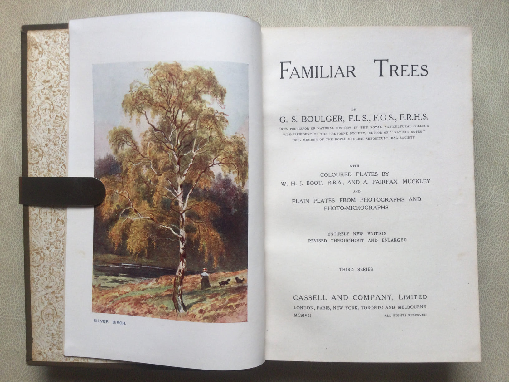 Familiar Trees By G. S. Boulger